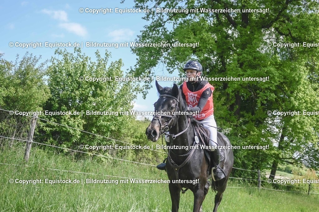 20250517_CCI2_Gelände_1592 | Foto: Thomas Hartig