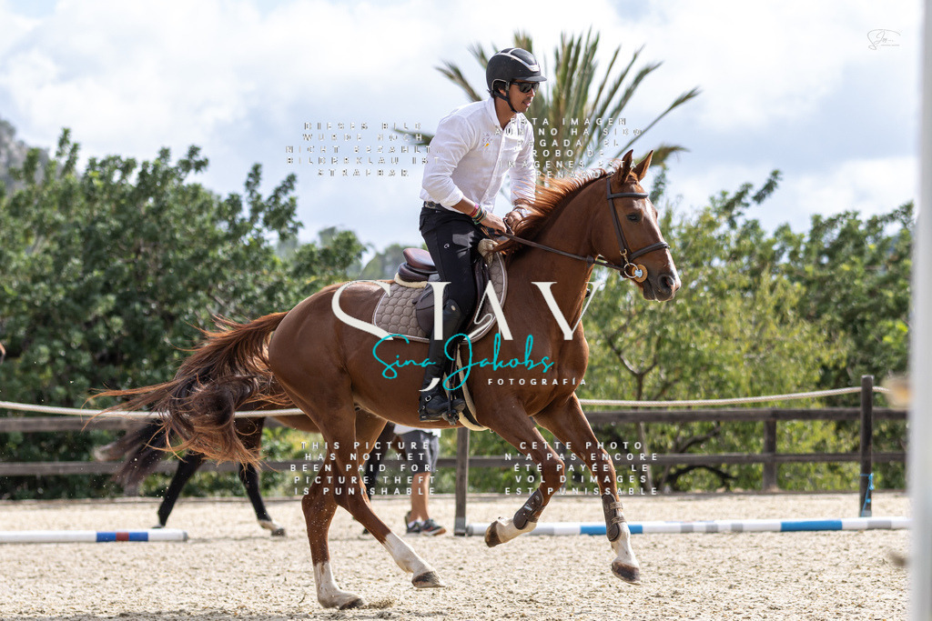 IMG_2455 | s-jay-photography - Realisiert mit Pictrs.com