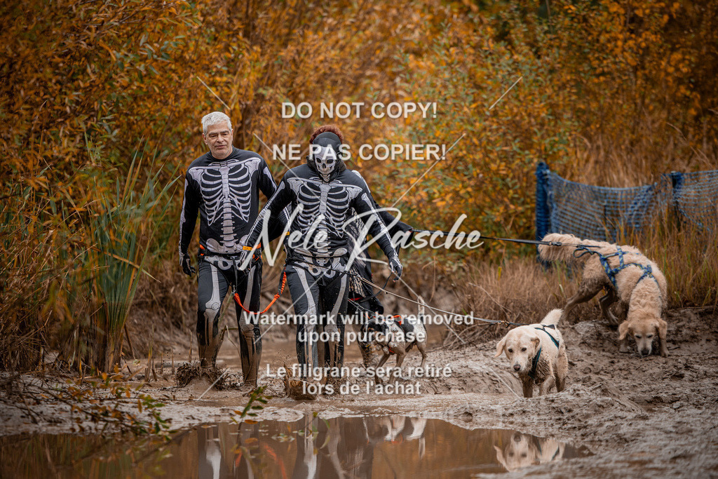 nelerasche_Creepy2025_Sa11-12_420 | nelerasche