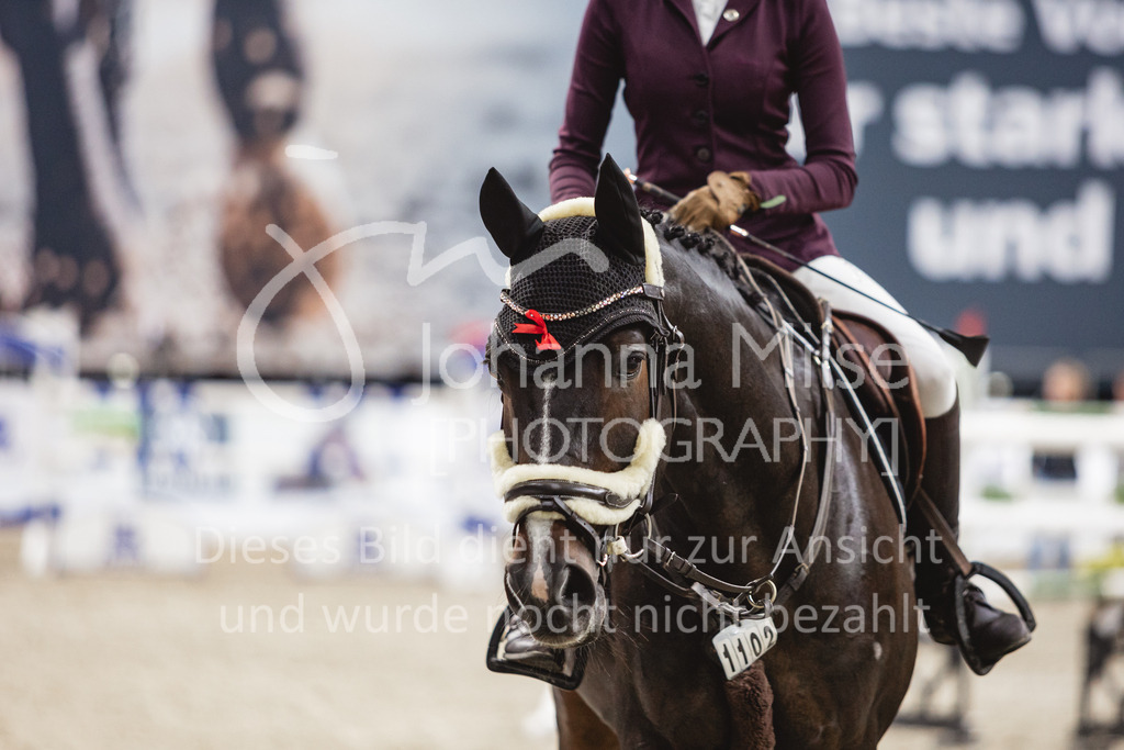 231028_Oldenburg_S1-Spr_Amateure-183 | Deine schönsten Turniermomente als professionelle Fotos! Entdecke hochwertige Pferdesport-Fotografie im Online-Shop. Jetzt Fotos finden & bestellen!