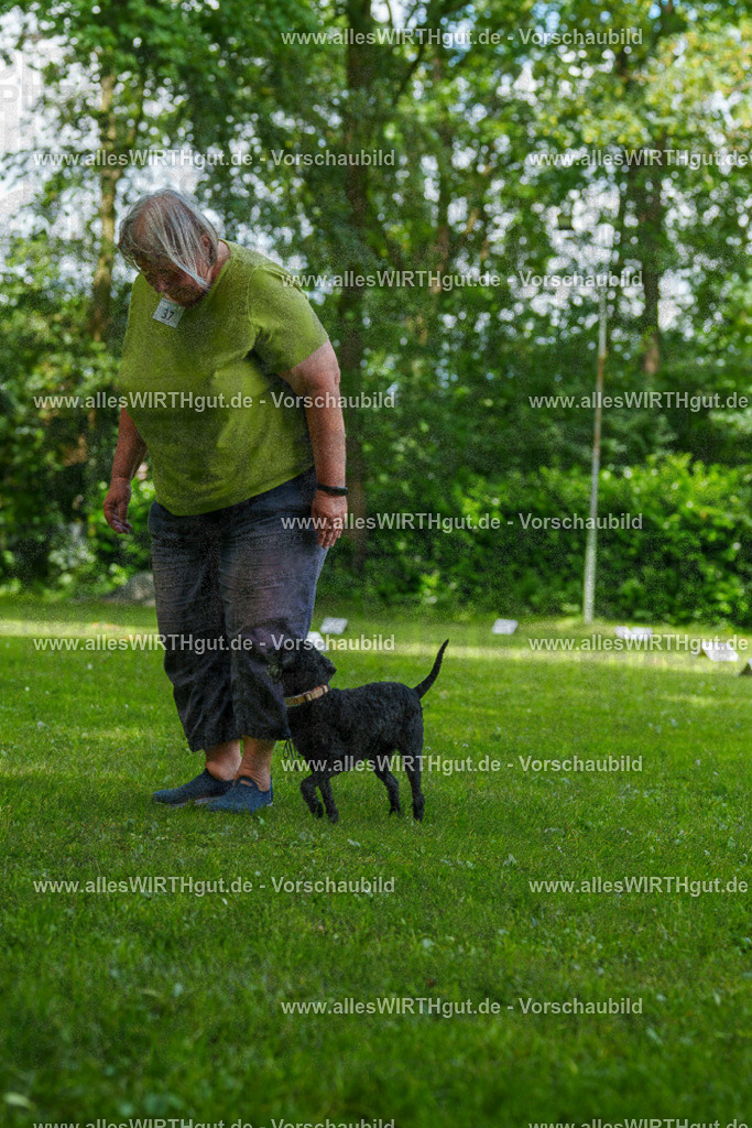 @allesWIRTHgut_Tierfotografie - www.allesWIRTHgut.de - 125003-7R509489 | Professionelle Tierfotografie in Mönchengladbach von Daniel Wirth (allesWIRTHgut). Liebevolle & natürliche Bilder von Hunden & Katzen für unvergessliche Erinnerungen.