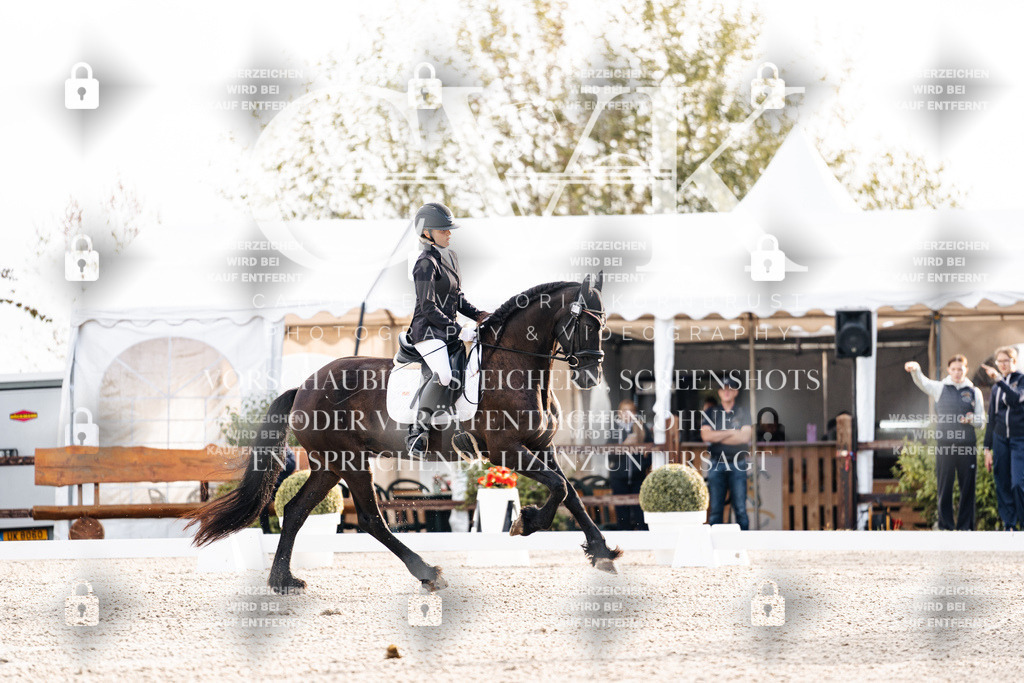 CK900299 | Turnierfotografie Pferdefotografie Trier Rheinland-Pfalz Pferdesport Reitsport Tierfotografie Sportfotografie Pferdevideo Pferdevideografie Equestrianvideography equestrianphotography  - Realisiert mit Pictrs.com