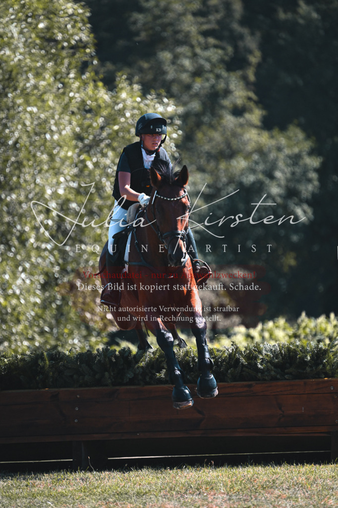 DSC_8399 | Pferde- und Turnierfotografie in Westsachsen. Pferdeportraits, Auftragszeichnungen und intuitive Kunst.