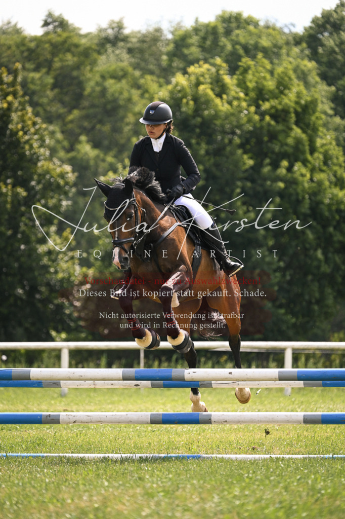 DSC_9094 | Pferde- und Turnierfotografie in Westsachsen. Pferdeportraits, Auftragszeichnungen und intuitive Kunst.