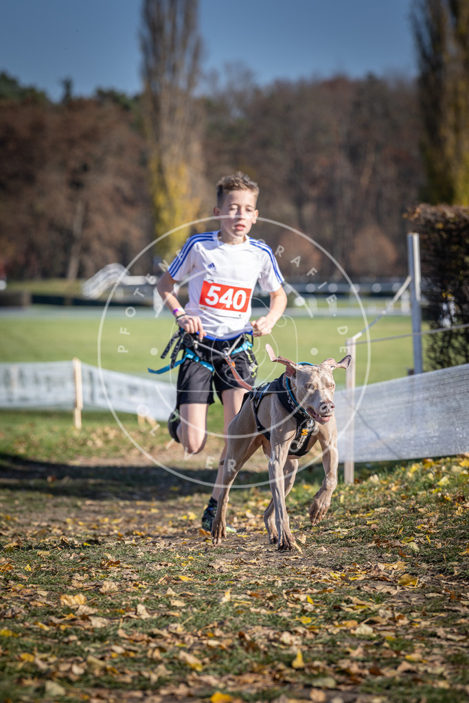 CaniXpix_DV3A8375 | Hundefotografie, Tierfotograf, Pfotenfotografie, Fotoshooting Hund, Hunde Portrait, Hundesport, Hundeportraits, Heideshooting, Hunde, Sportfotograf, Hundefotograf, Turnierhundsport, THS,  - Realisiert mit Pictrs.com