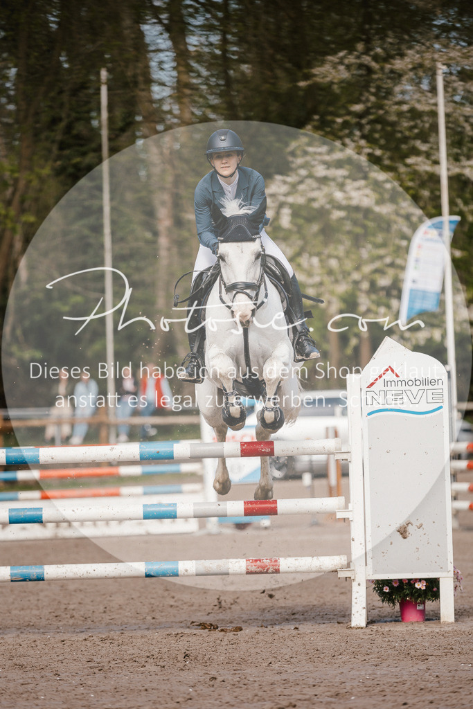 3I6A4007 | Stimmungsvolle Portraits und Reitsportfotografie im Ruhrgebiet und im Münsterland.

Pferdefotografie, Hundefotografie, Tierfotografie, Reportagen, Portraits von Tier und Mensch, Turnierfotografie in Bochum, Recklinghausen, Marl, Haltern am See, Dülmen.. - Realisiert mit Pictrs.com