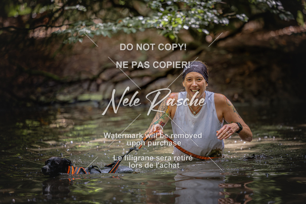 nelerasche_SaWingst1400-1500_329 | nelerasche