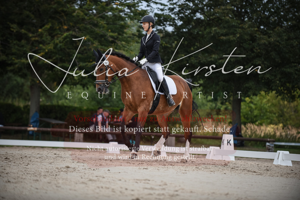 DSC_8268 | Pferde- und Turnierfotografie in Westsachsen. Pferdeportraits, Auftragszeichnungen und intuitive Kunst.