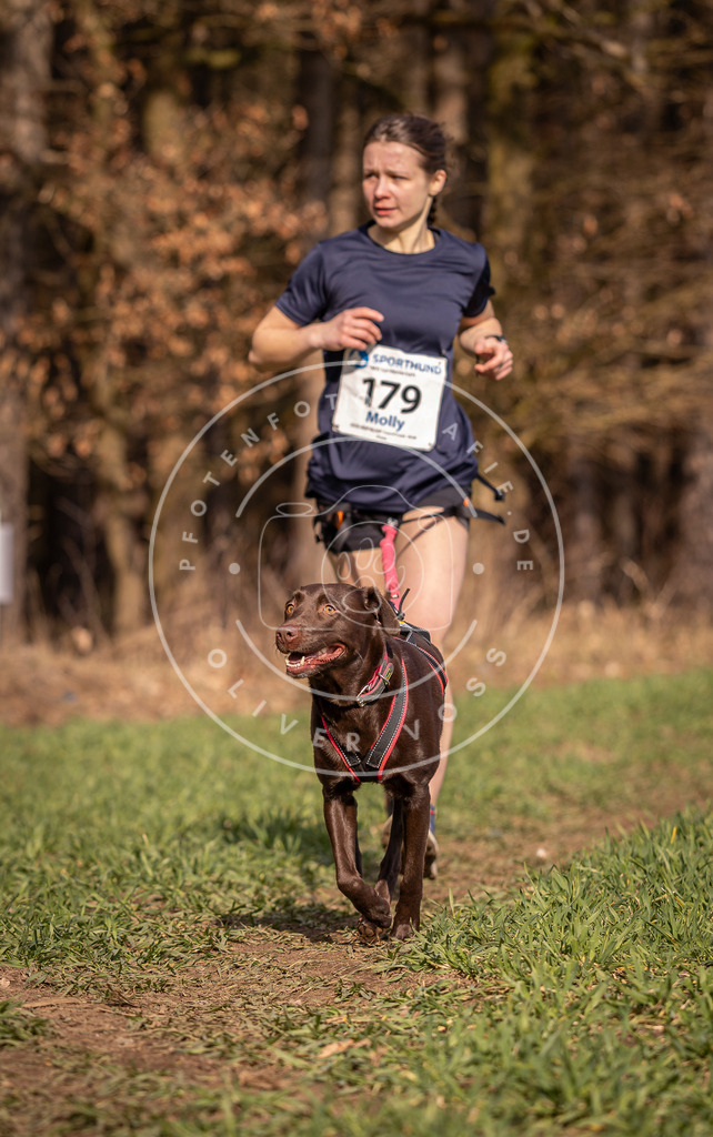 DV3A6462 | Hundefotografie, Tierfotograf, Pfotenfotografie, Fotoshooting Hund, Hunde Portrait, Hundesport, Hundeportraits, Heideshooting, Hunde, Sportfotograf, Hundefotograf, Turnierhundsport, THS,  - Realisiert mit Pictrs.com