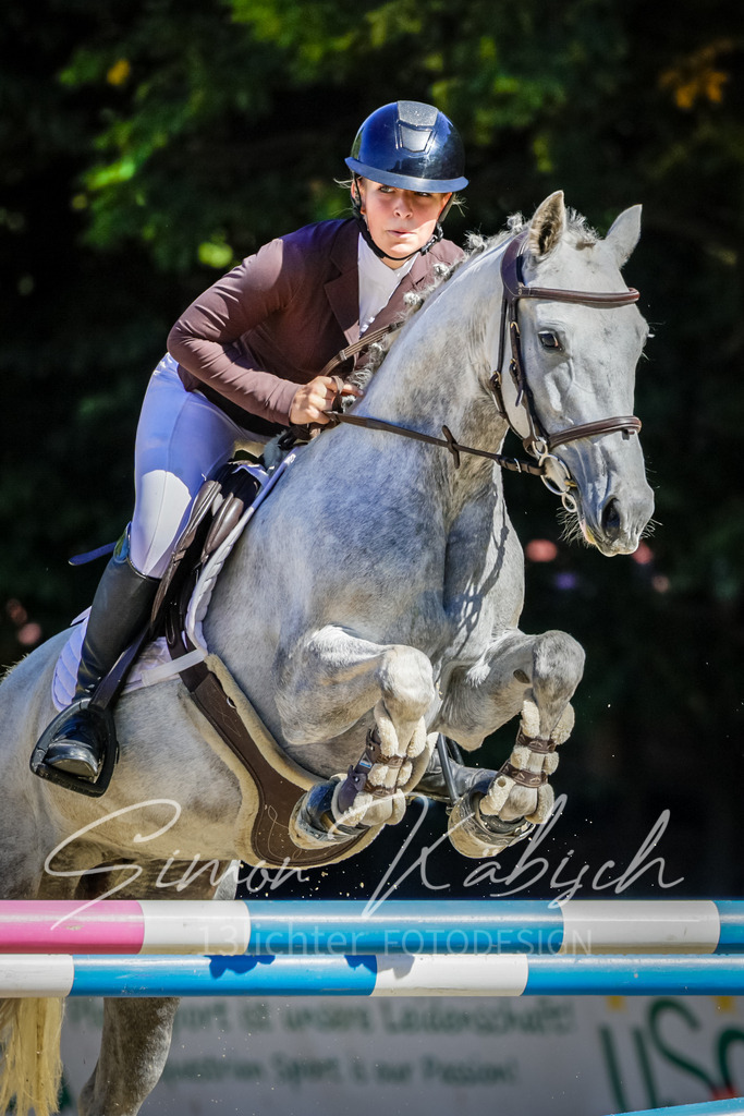 20250906-_3LI3756 | Tierfotografie Pferde, Hunde, Katzen, Haustiere.
Turnierfotografie Reitturniere, Reiten, Springreiten, Dressur in Hanau, dem Main-Kinzig-Kreis und dem Rhein-Main- Gebiet um Frankfurt