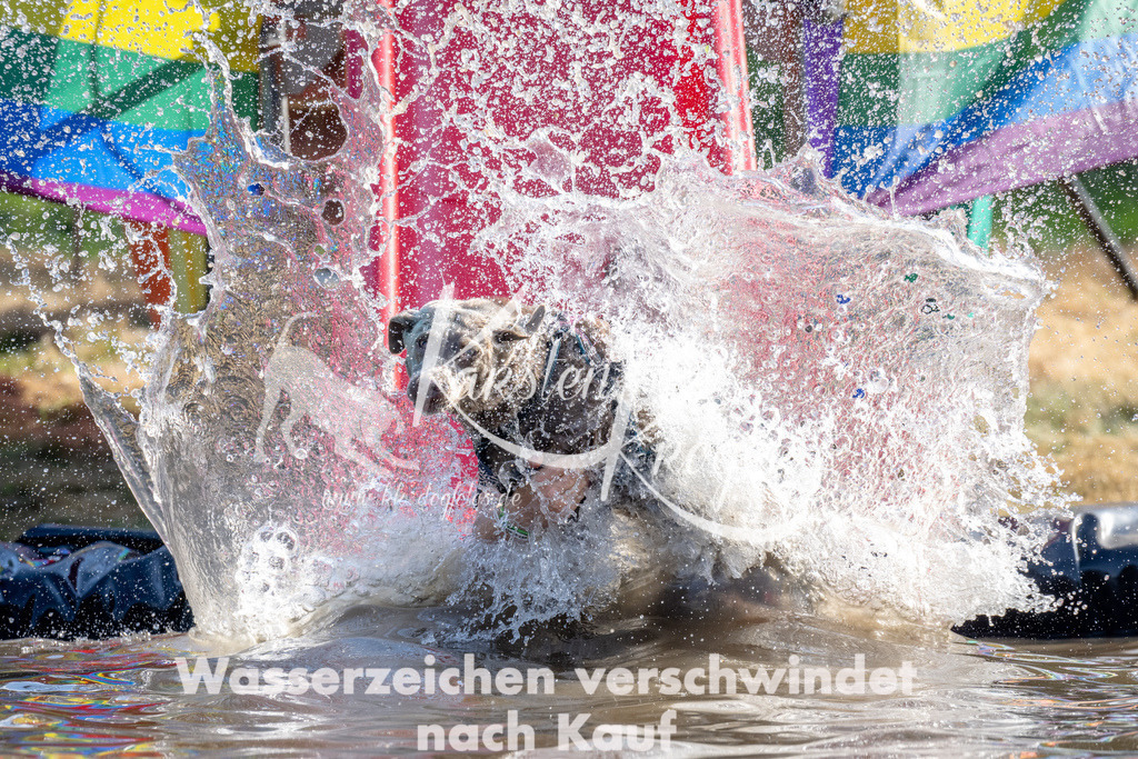 1635_ZZ90163 | kk-dogfotos