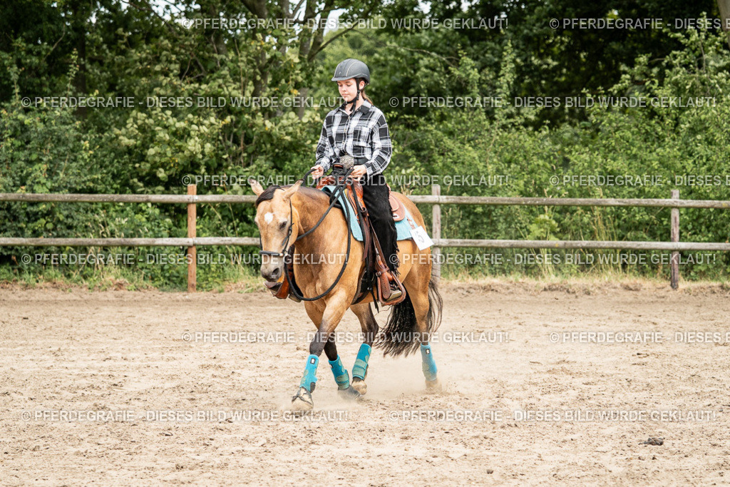 DSC01449 | Pferdegrafie