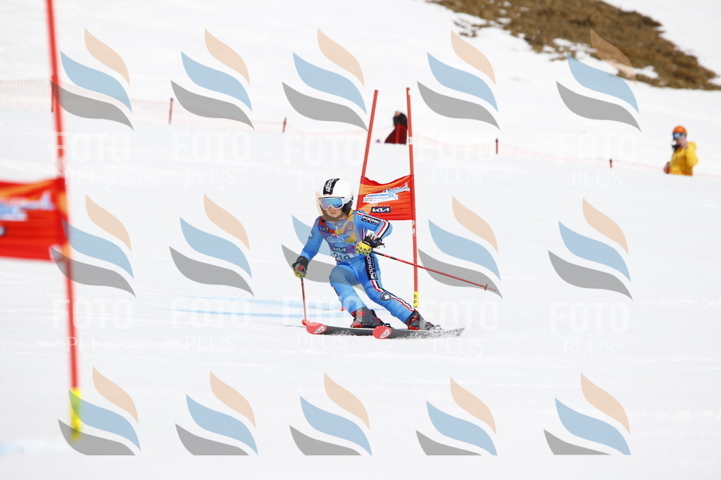 _U3G5642 | holidayphoto