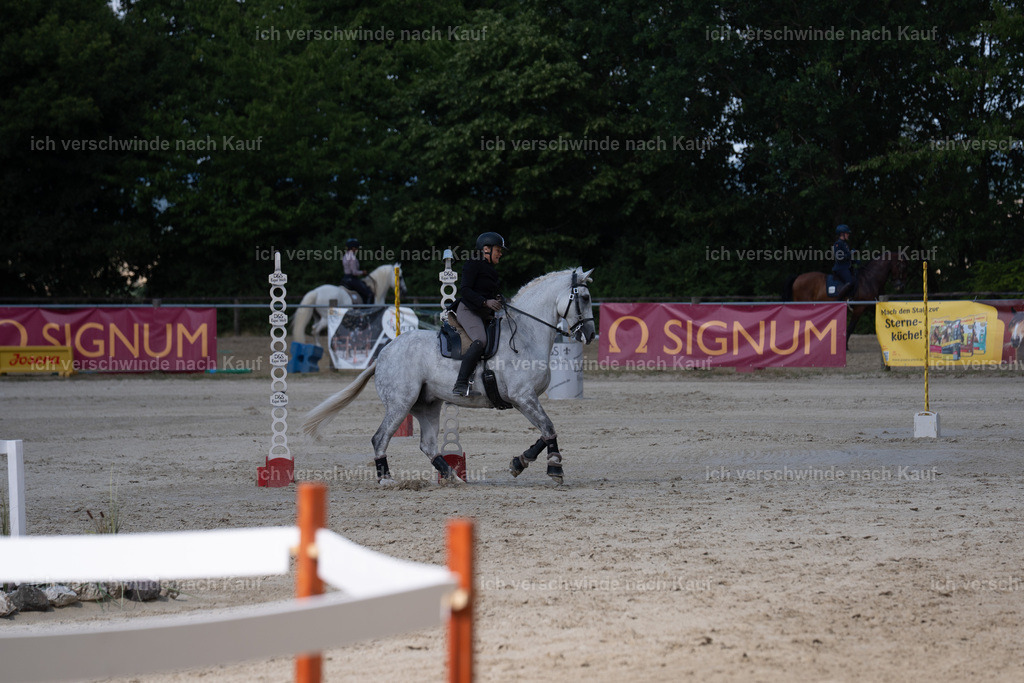 WS_SP_43_SinaFilmArt_IN08339 | working equitationturnier fotograf videograf stoibphotography marixx film working equitation deutschland reitsport turnierfotografie eventfotografie equestrian events