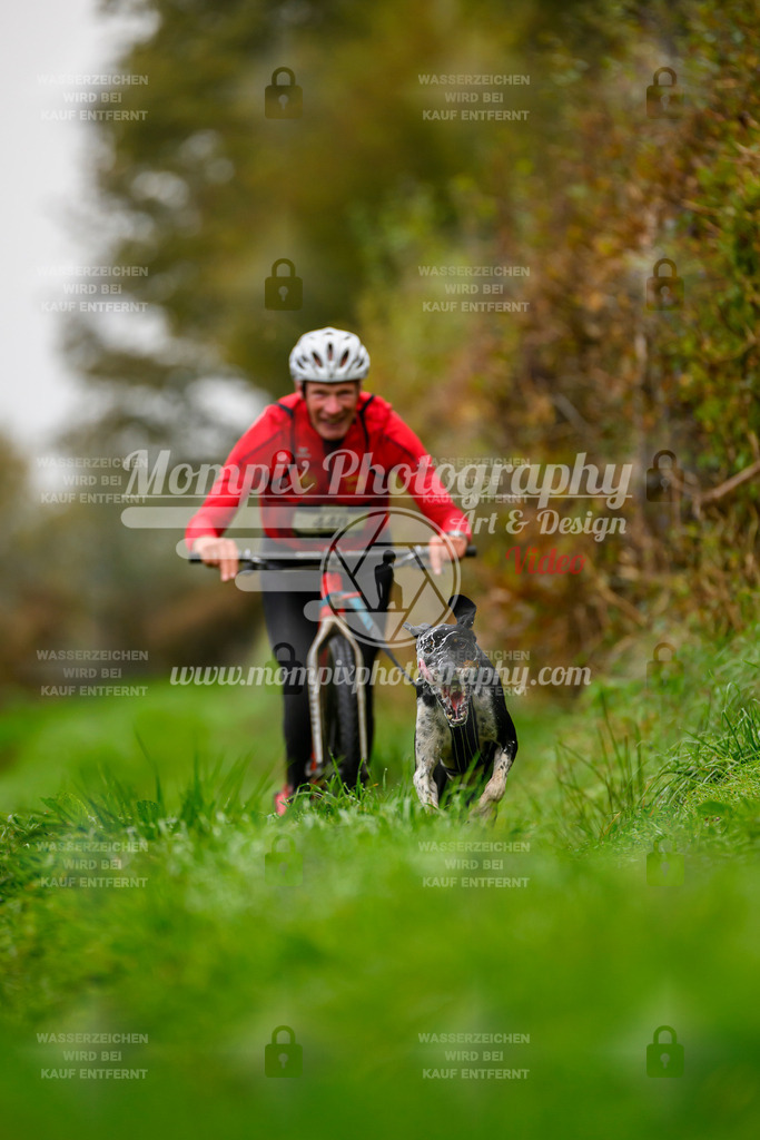 MompixPhotography_20TSB_E8_DS1-53 | PayLife