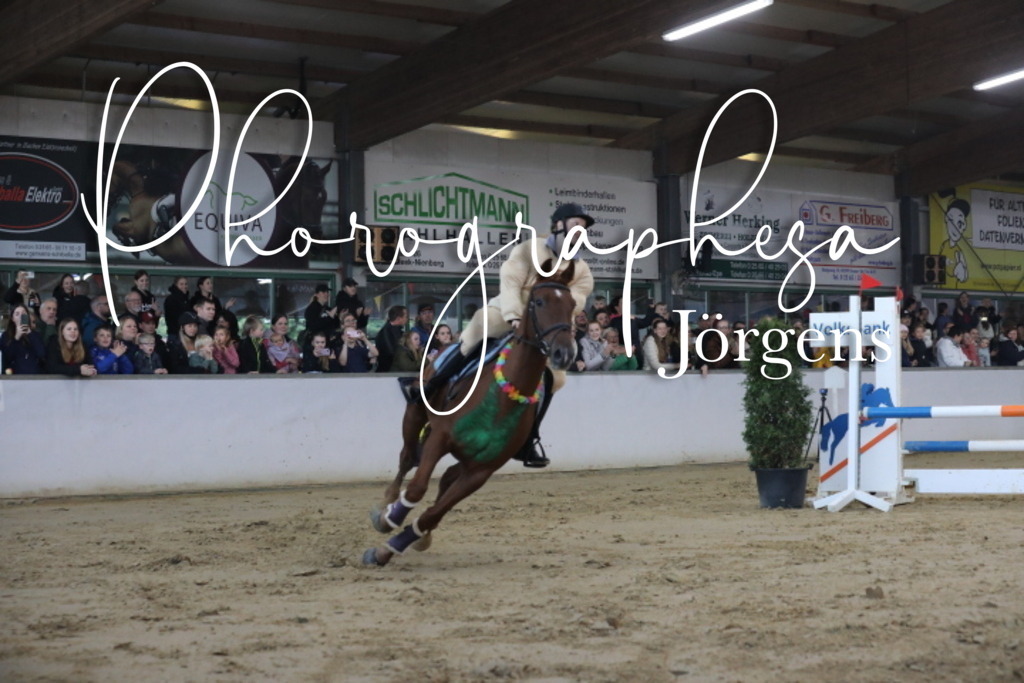 IMG_1910 | photographesa-joergens - Realisiert mit Pictrs.com