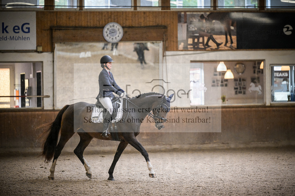 DOS_0232 | Entdecke hochwertige Reitturnierfotos von Foto Oger. Professionell, emotional und authentisch – jetzt Lieblingsmomente im Shop bestellen.Deutschlandweite Turnierfotografie. - Realisiert mit Pictrs.com