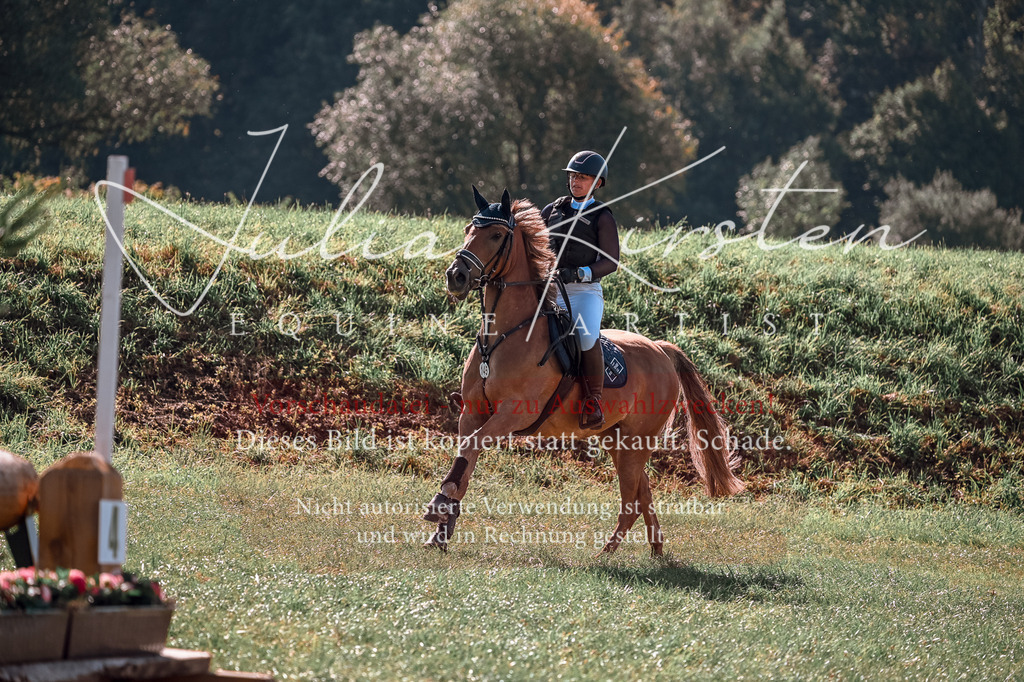 DSC_0779 | Pferde- und Turnierfotografie in Westsachsen. Pferdeportraits, Auftragszeichnungen und intuitive Kunst.
