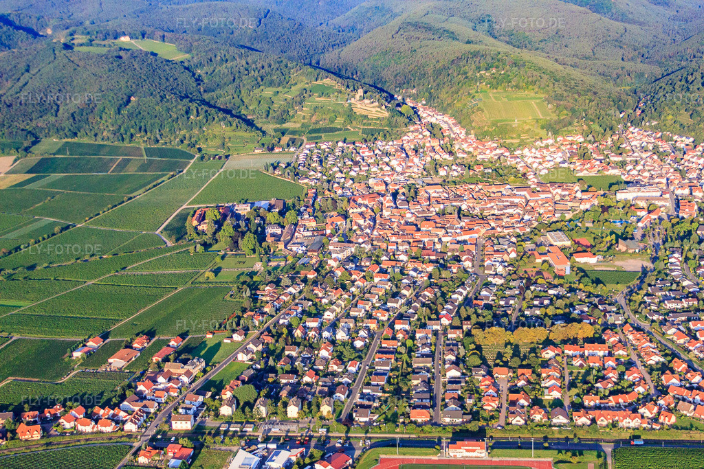 Luftbild: Stadtansicht von Osten im Morgenlicht in Wachenheim an der Weinstraße im Bundesland Rheinland-Pfalz in Deutschland. Foto: IMG_44403.jpg vom 20.08.2011 durch Werner Riehm/FLY-FOTO.de