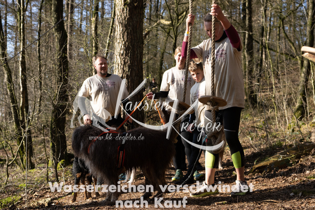 0909_ZZ96387 | kk-dogfotos