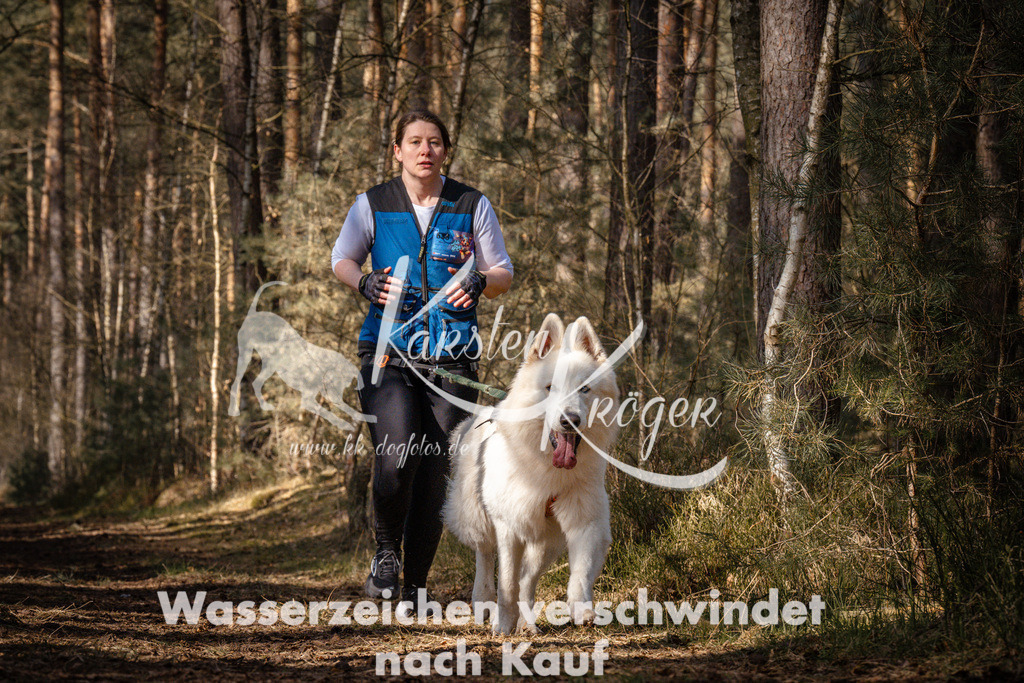1126_ZZ90950 | kk-dogfotos