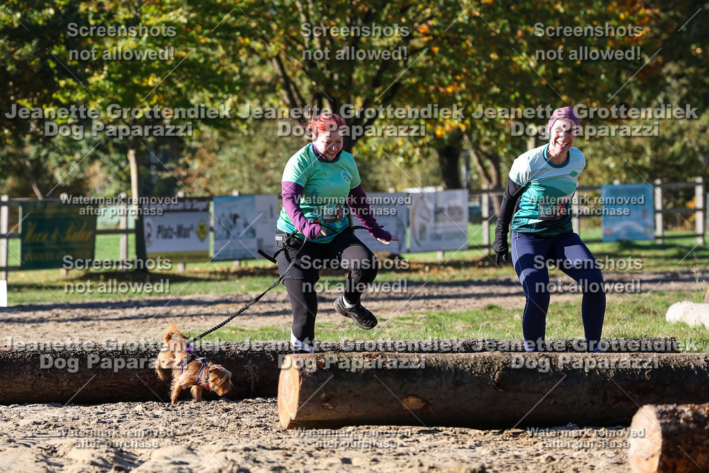 Dog Paparazzi - Strongdog 10-25-1813 | Dog Paparazzi Jeanette Grottendiek Fotografie & Videografie - Realisiert mit Pictrs.com