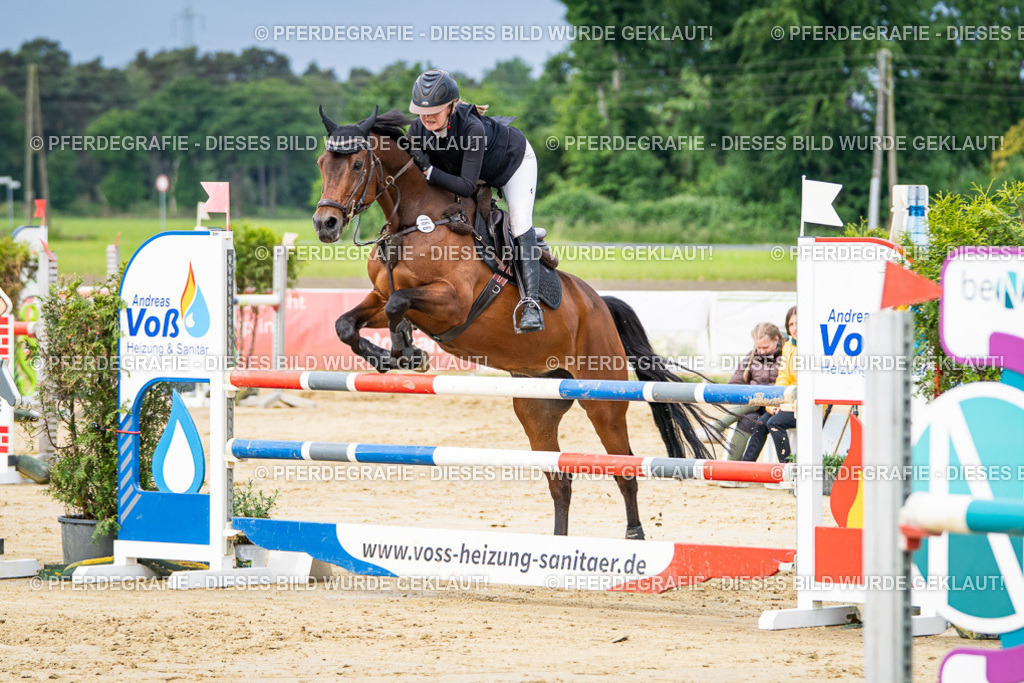 DSC03879 | Pferdegrafie