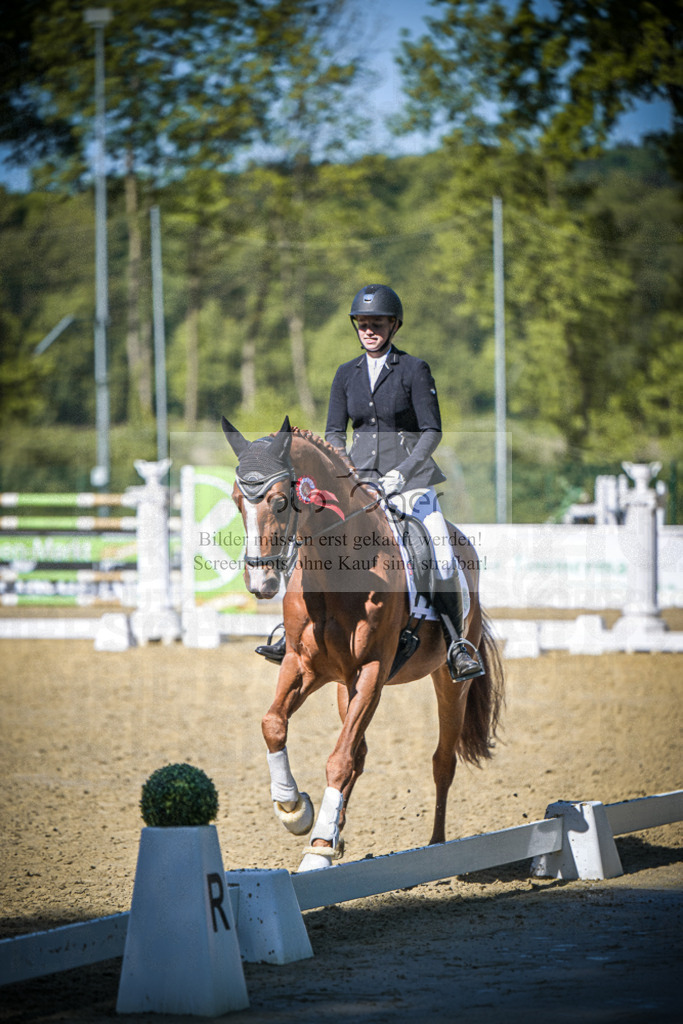 DOS_7522 | Entdecke hochwertige Reitturnierfotos von Foto Oger. Professionell, emotional und authentisch – jetzt Lieblingsmomente im Shop bestellen.Deutschlandweite Turnierfotografie. - Realisiert mit Pictrs.com