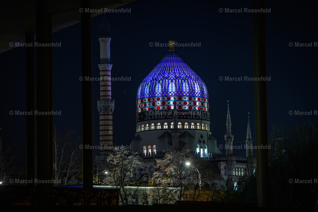 _DSC3725 | foto-rosenfeld