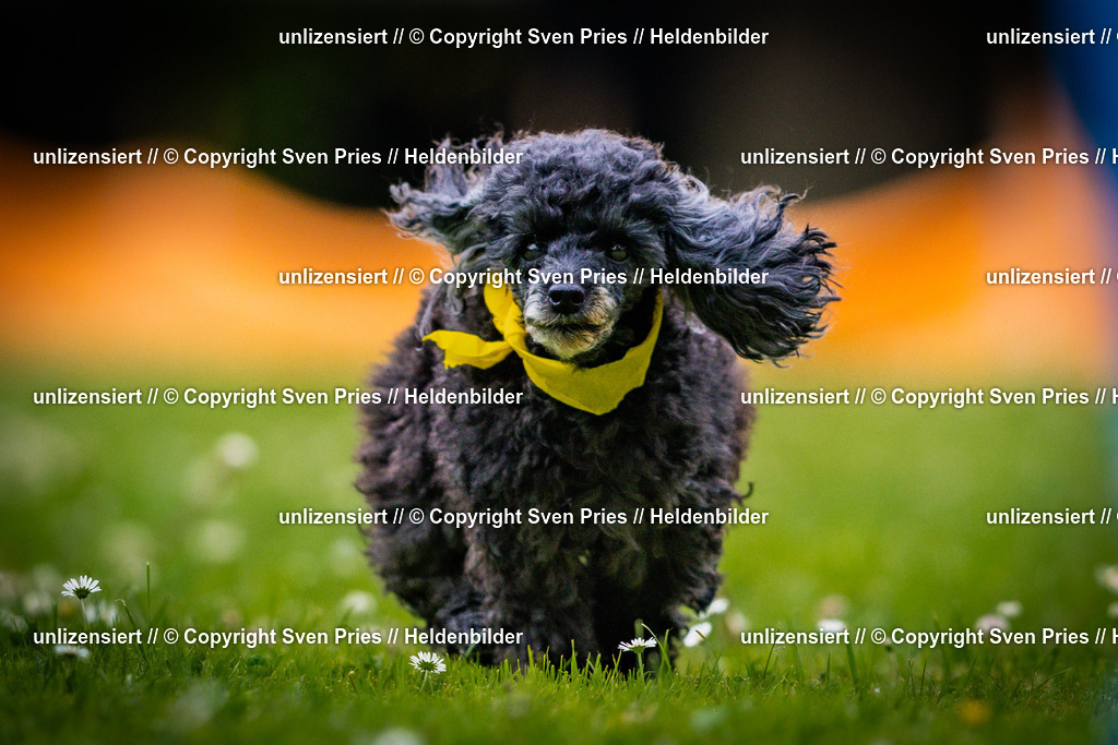 Sven Pries | 2025-05-29 - Pudelrennen KA-Durlach - Realisiert mit Pictrs.com