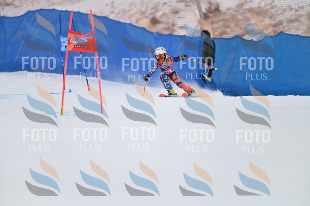 BGV_2491 | holidayphoto