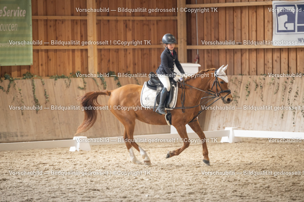 _D5A5729 | Emotionale Pferde- & People-Fotografie rund um Heidelberg, Leimen & Umgebung. Natürliche Fotos von Pferd, Mensch & Familie. Jetzt Termin sichern!