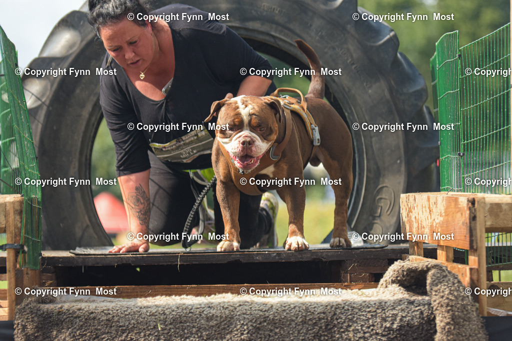 DSC_0017 | Hallo und herzlich Willkommen auf meiner Shop-Seite Fynn Most.

Ich wünsche Dir viel Spaß beim stöbern durch die Bilder, wenn Du Fragen hast oder Bilder vermisst, kannst du mir gerne eine Nachricht schreiben. - Realisiert mit Pictrs.com