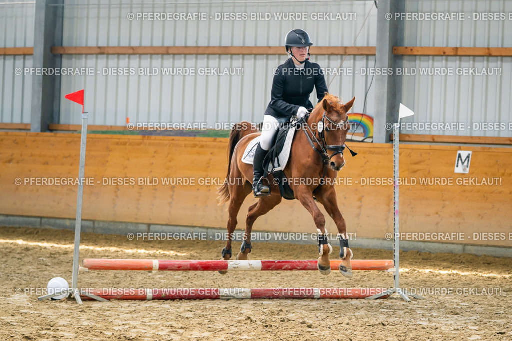 DSC01508 | Pferdegrafie