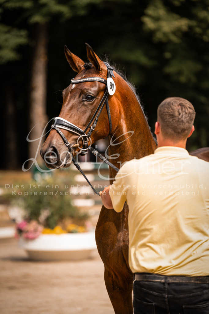 6.Fr00176 | Leoni Ertmer Photography - Realisiert mit Pictrs.com