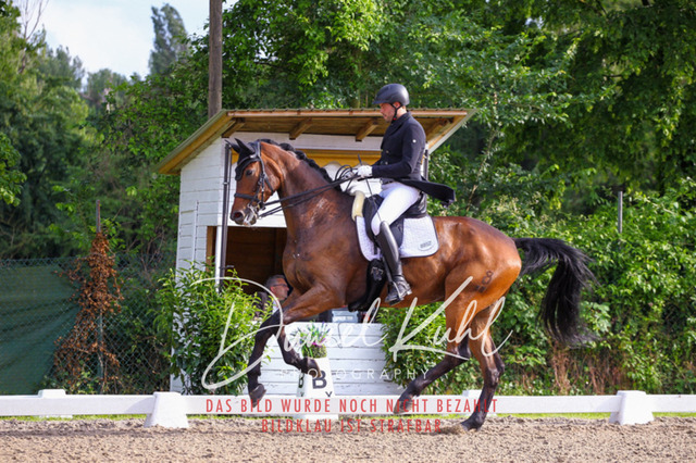 DKP41764 | Deine Turnierfotos vom Reitturnier online kaufen: Dressur, Springen & Siegerehrung. Professionelle Pferdefotografie aus dem Rheinland – als Download & Print.Alternative: Turnierfotograf für den Pferdesport: Finde deine Fotos von Dressur- und Springturnier