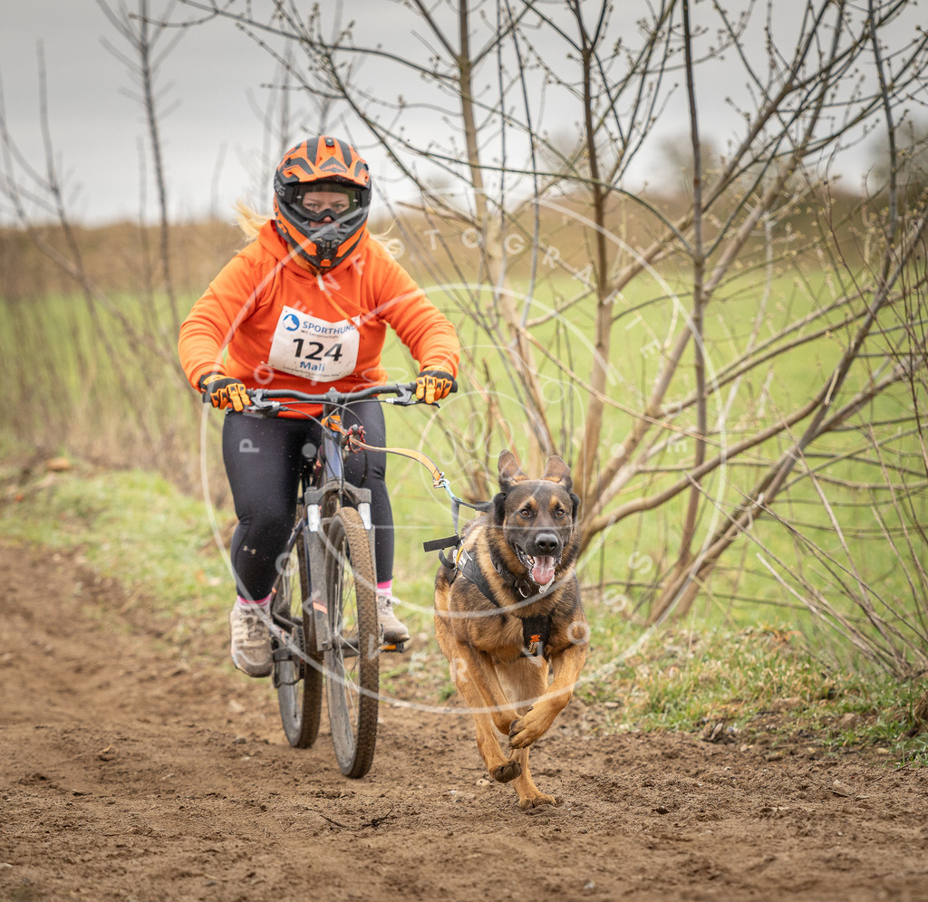 DV3A1045 | Hundefotografie, Tierfotograf, Pfotenfotografie, Fotoshooting Hund, Hunde Portrait, Hundesport, Hundeportraits, Heideshooting, Hunde, Sportfotograf, Hundefotograf, Turnierhundsport, THS,  - Realisiert mit Pictrs.com