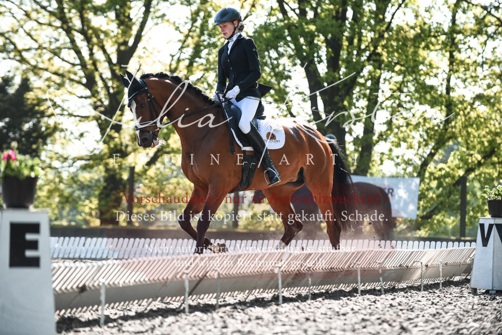 DSC_8684 | Pferde- und Turnierfotografie in Westsachsen. Pferdeportraits, Auftragszeichnungen und intuitive Kunst.