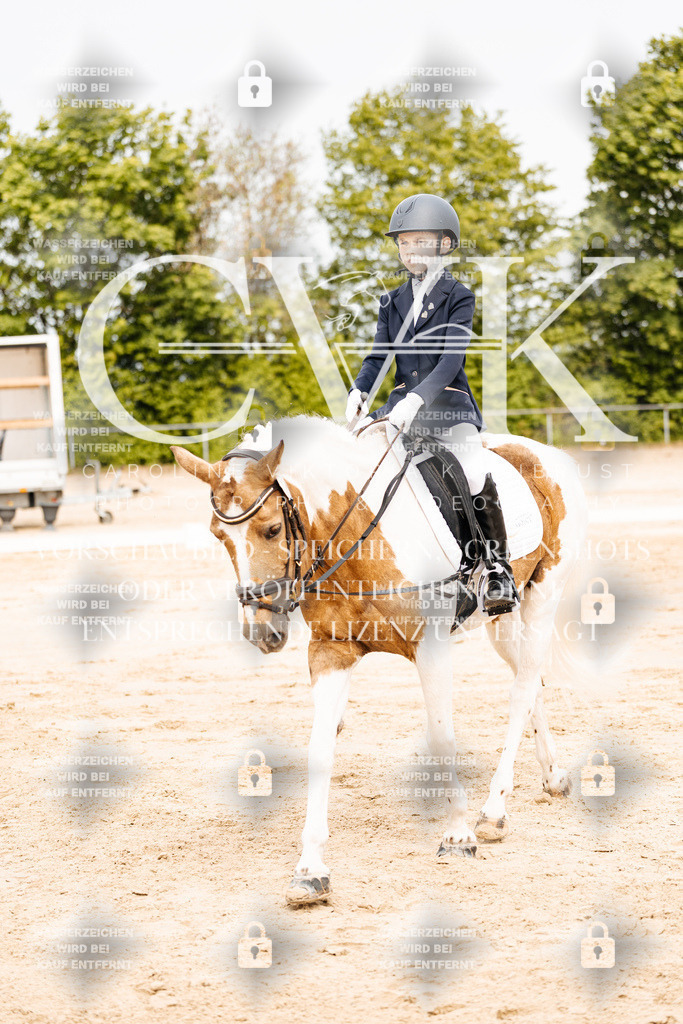 CK904491 | Turnierfotografie Pferdefotografie Trier Rheinland-Pfalz Pferdesport Reitsport Tierfotografie Sportfotografie Pferdevideo Pferdevideografie Equestrianvideography equestrianphotography  - Realisiert mit Pictrs.com