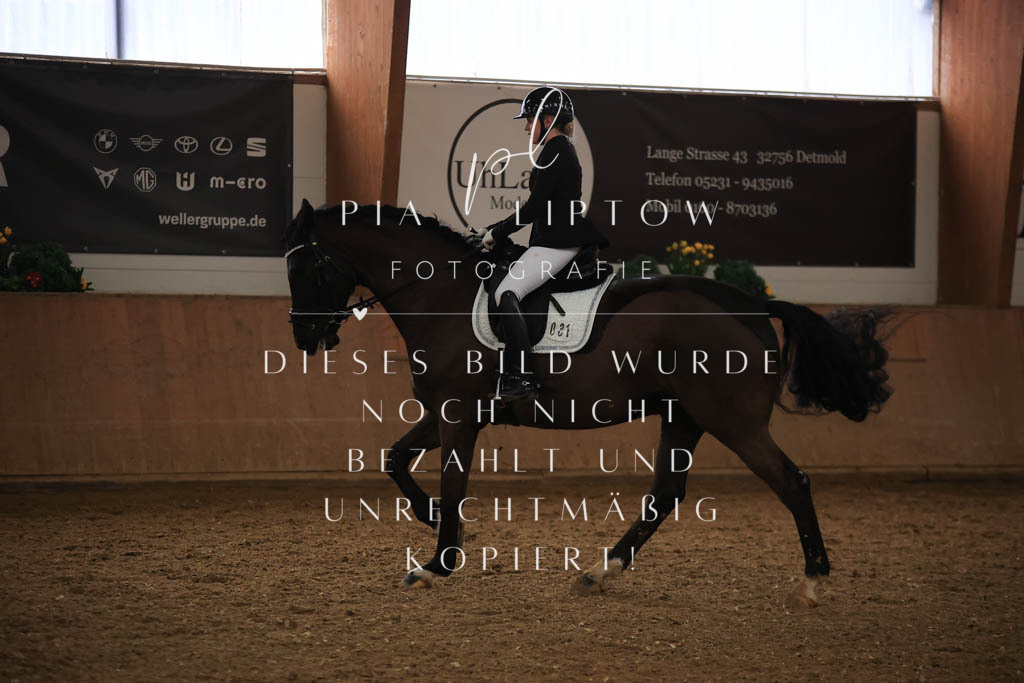 IMGT9042 | pl-fotografie