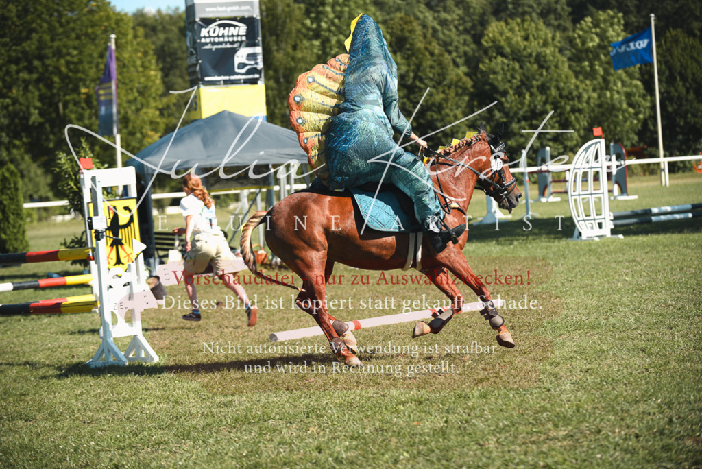 DSC_7657 | Pferde- und Turnierfotografie in Westsachsen. Pferdeportraits, Auftragszeichnungen und intuitive Kunst.