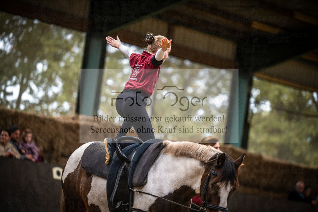 DOS_0230 | Entdecke hochwertige Reitturnierfotos von Foto Oger. Professionell, emotional und authentisch – jetzt Lieblingsmomente im Shop bestellen.Deutschlandweite Turnierfotografie. - Realisiert mit Pictrs.com
