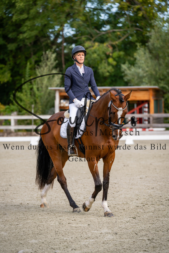 A7V06804 | Turnier/Reitfotograf