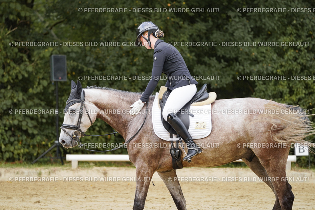 DSC00870 | Pferdegrafie