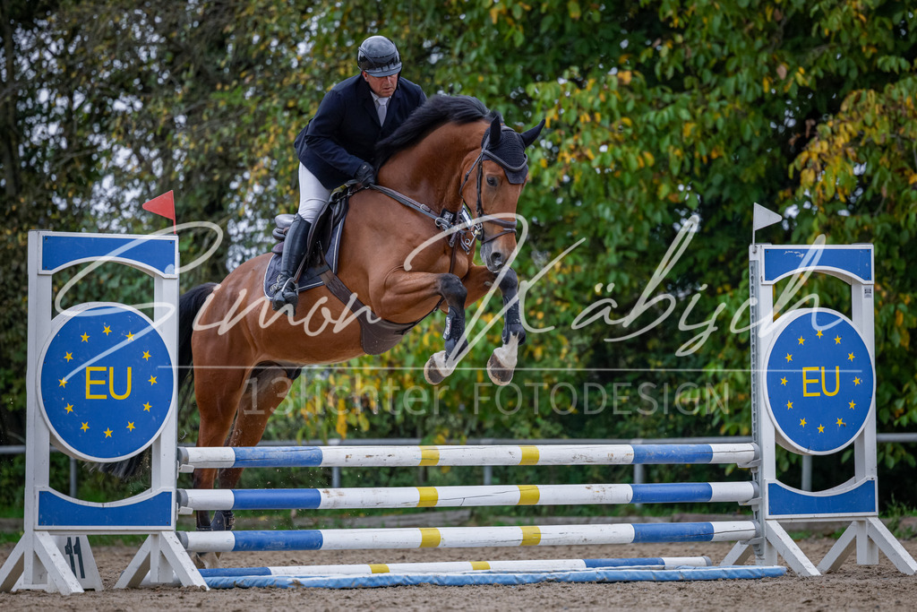 20251012-_3LI4073 | Tierfotografie Pferde, Hunde, Katzen, Haustiere.
Turnierfotografie Reitturniere, Reiten, Springreiten, Dressur in Hanau, dem Main-Kinzig-Kreis und dem Rhein-Main- Gebiet um Frankfurt