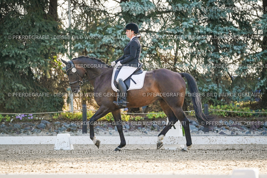 DSC08036 | Pferdegrafie