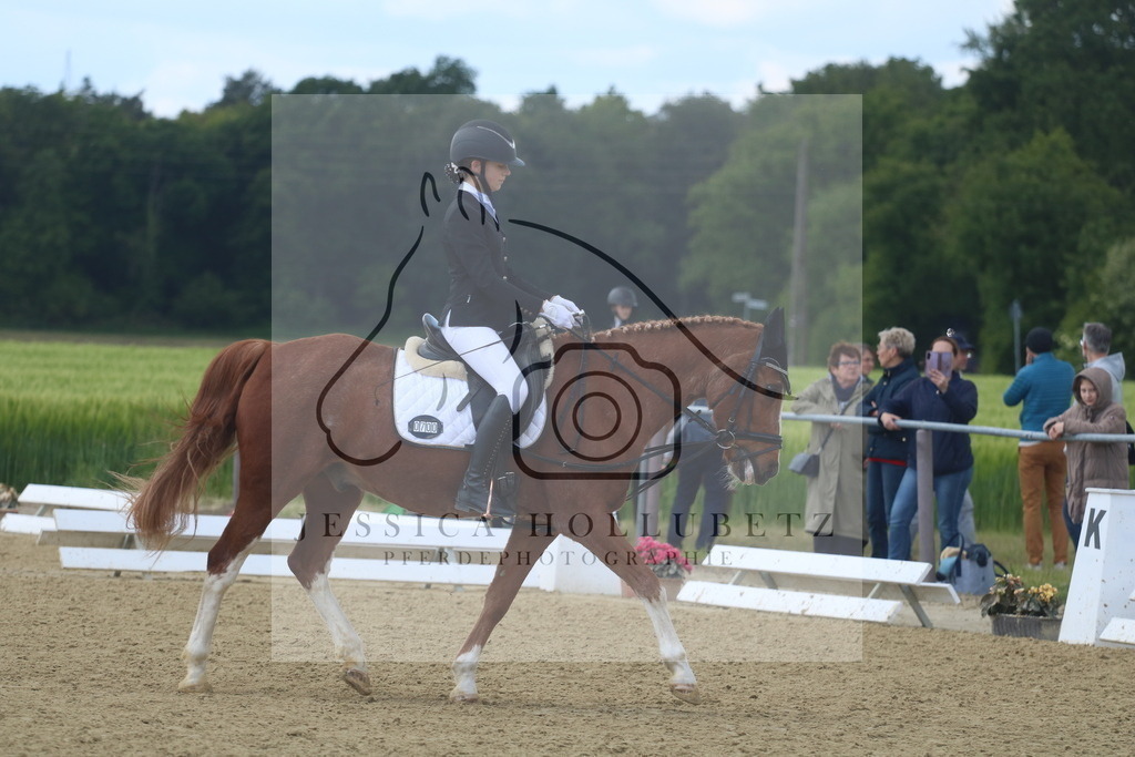 IMG_3658 | jessicahollubetz_pferdephotographie - Realisiert mit Pictrs.com