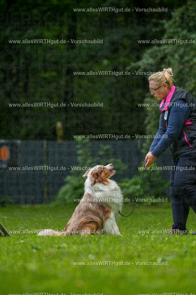 @allesWIRTHgut_Tierfotografie - www.allesWIRTHgut.de - 7R501216 | Professionelle Tierfotografie in Mönchengladbach von Daniel Wirth (allesWIRTHgut). Liebevolle & natürliche Bilder von Hunden & Katzen für unvergessliche Erinnerungen.