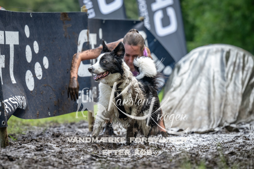 1145_ZZ94166 | kk-dogfotos