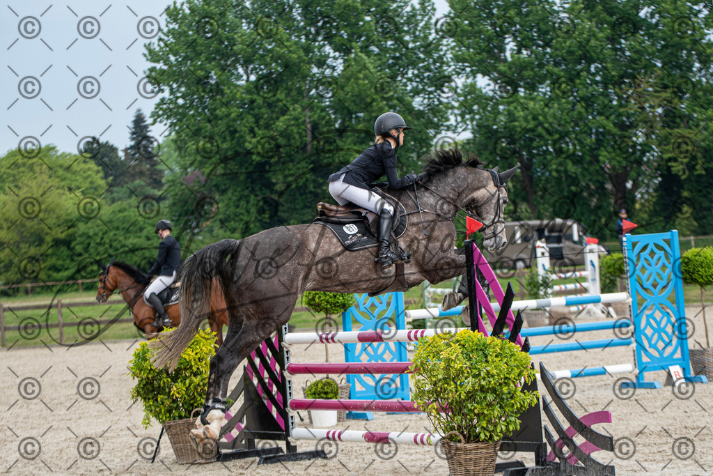 KPT_3522 | andre_photographic